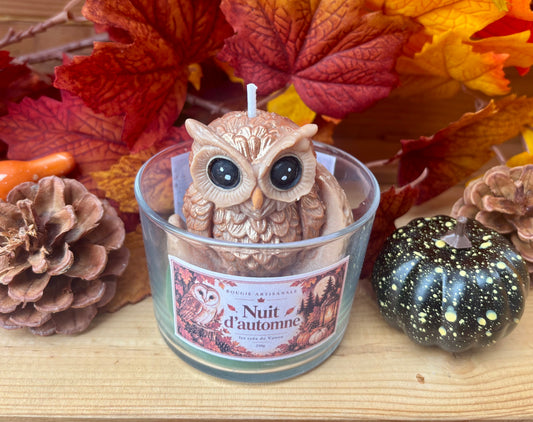 Bougie « Nuit d’automne »